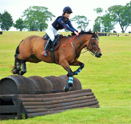 Hall Hill Farm Equestrian CentreRiding School and Stables